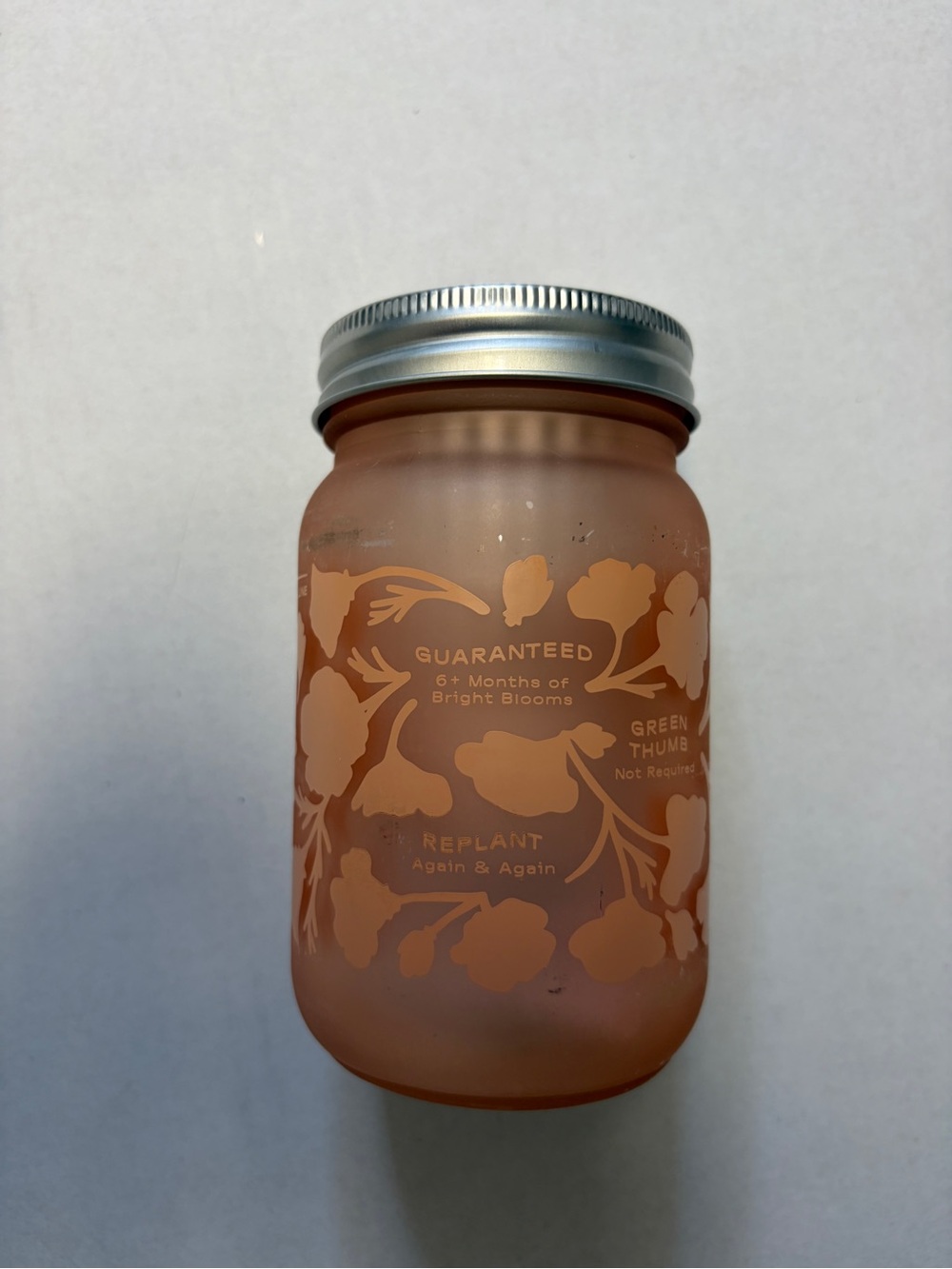 Modern Sprout Icelandic Poppy Grow Kit Mason Jar Self Watering New